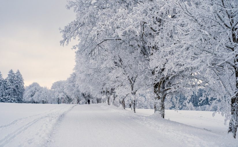 5 Great Games to Put You in the Winter Mood